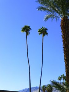 Twin Palms in Palm Springs